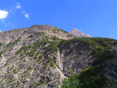 010.jpg